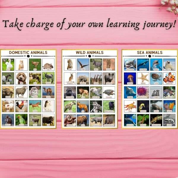 Educational Sticker Charts For Kids - Set of 20 - Image 4